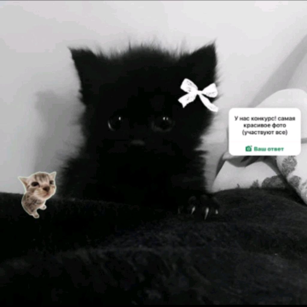 Иконка канала Кира
