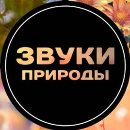 Иконка канала Звуки самой природы