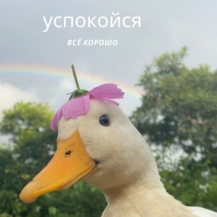 Иконка канала Лукьяновна 59