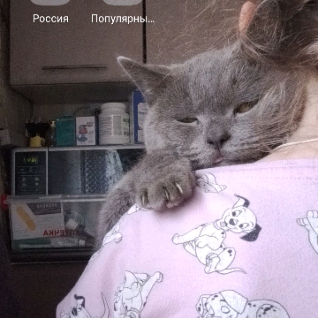 Иконка канала channel66535475