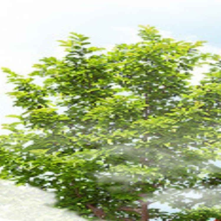 Иконка канала 3D ДИЗАЙН