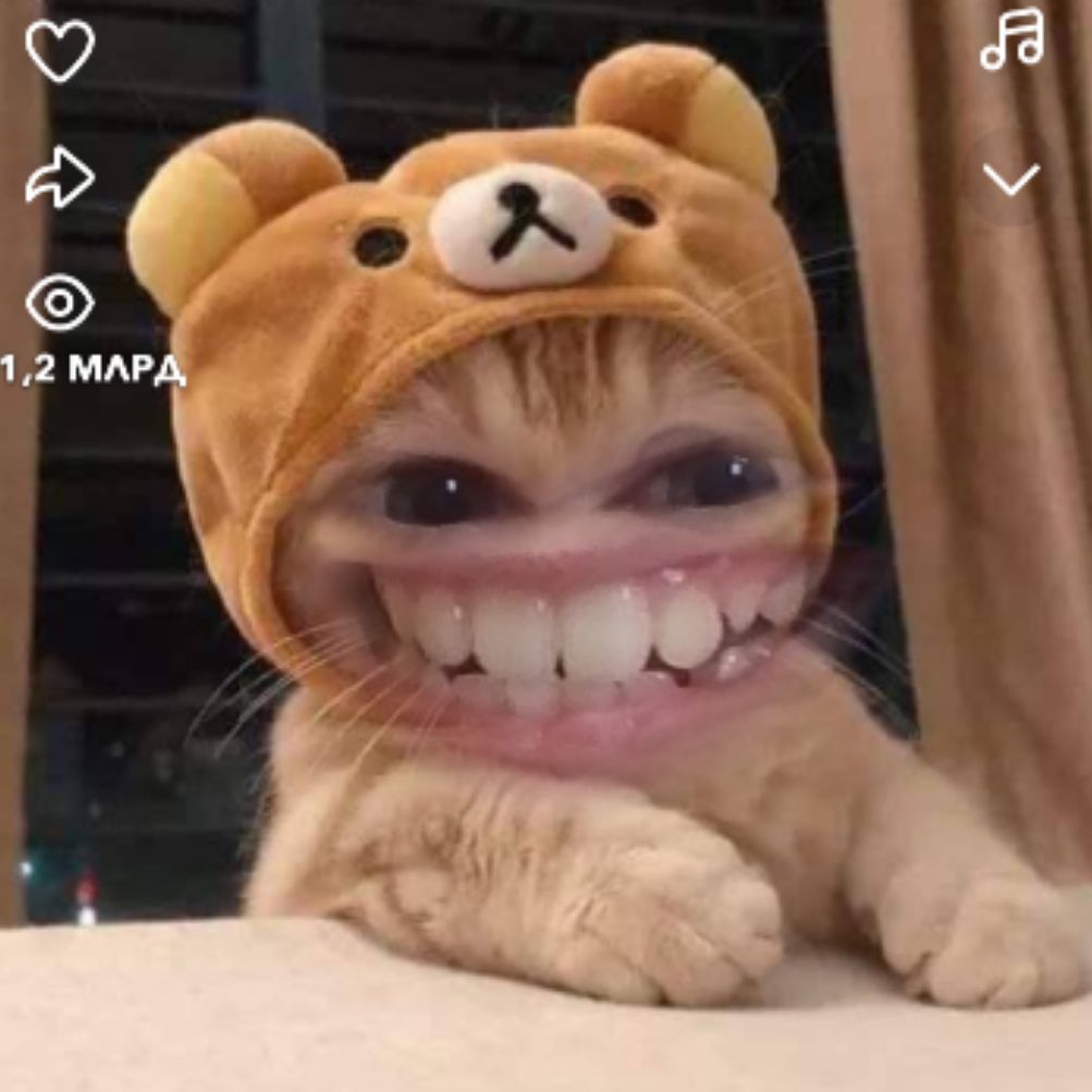 Иконка канала DENIX