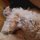 Иконка канала Чарлик#Призывы