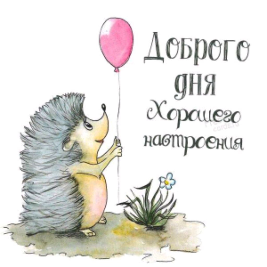 Иконка канала Мойка в Деревне