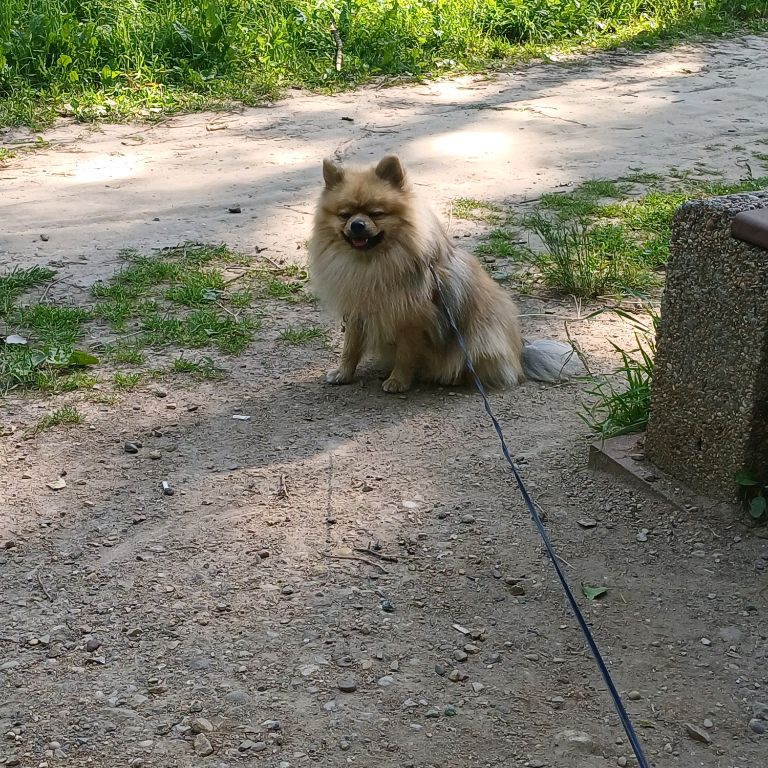 Иконка канала Stalker