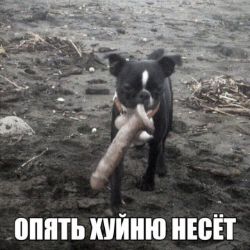 Иконка канала DaguMix