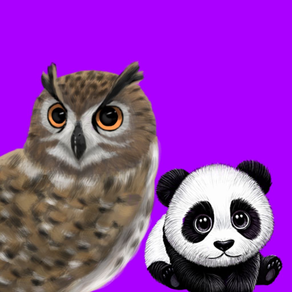 Иконка канала Финда 🦉🐼