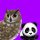 Иконка канала Финда 🦉🐼