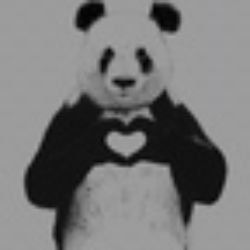 Иконка канала Мисс панда28