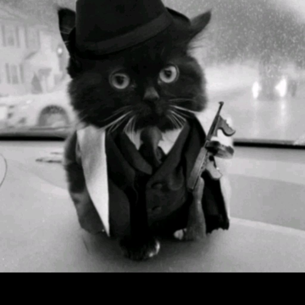 Иконка канала Маркуз де кактус