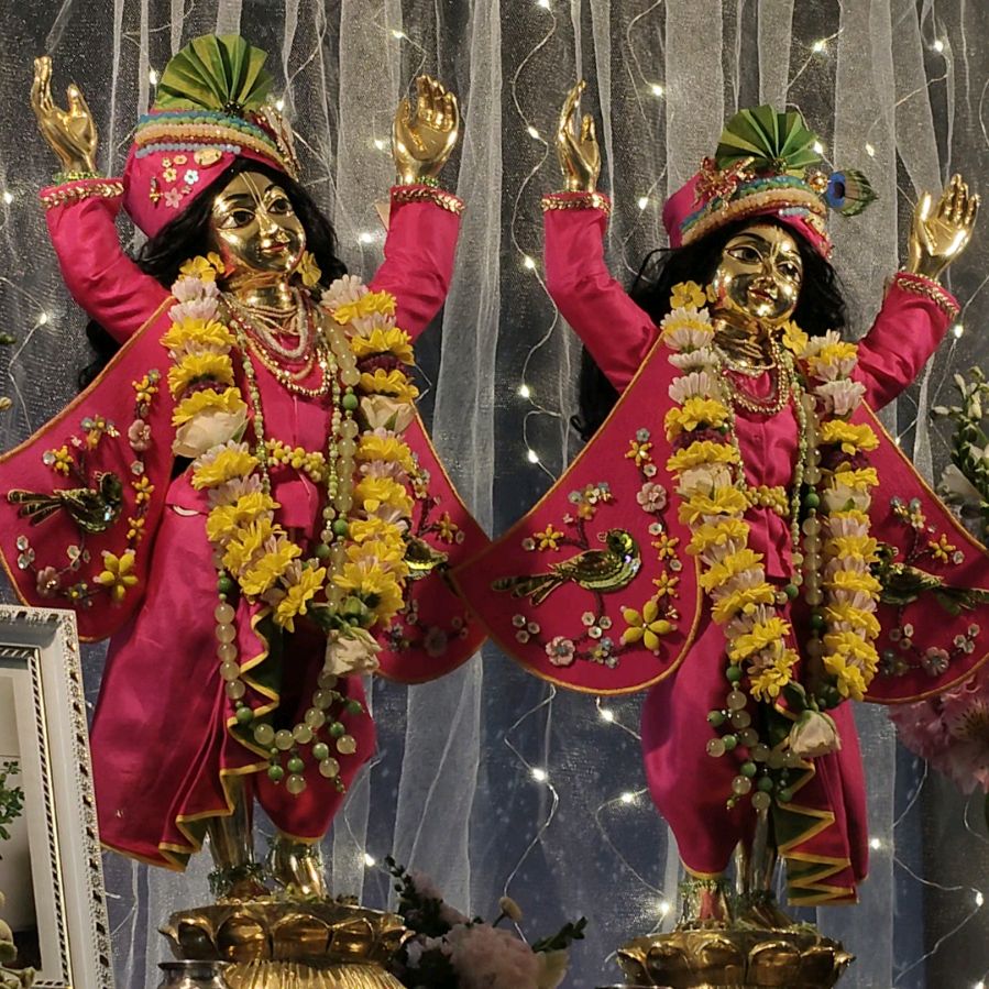 Иконка канала Hare Krishna Life