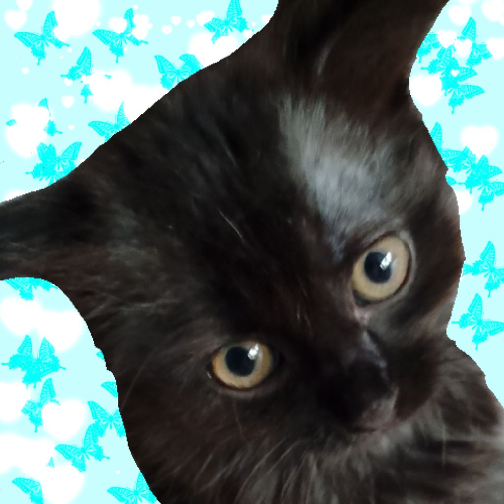 Иконка канала Рису