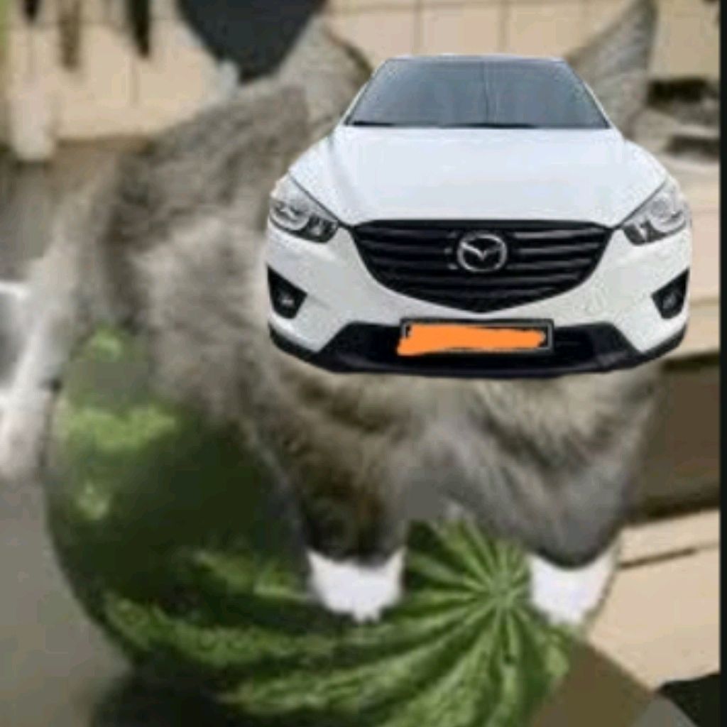 Иконка канала Cars Off😕