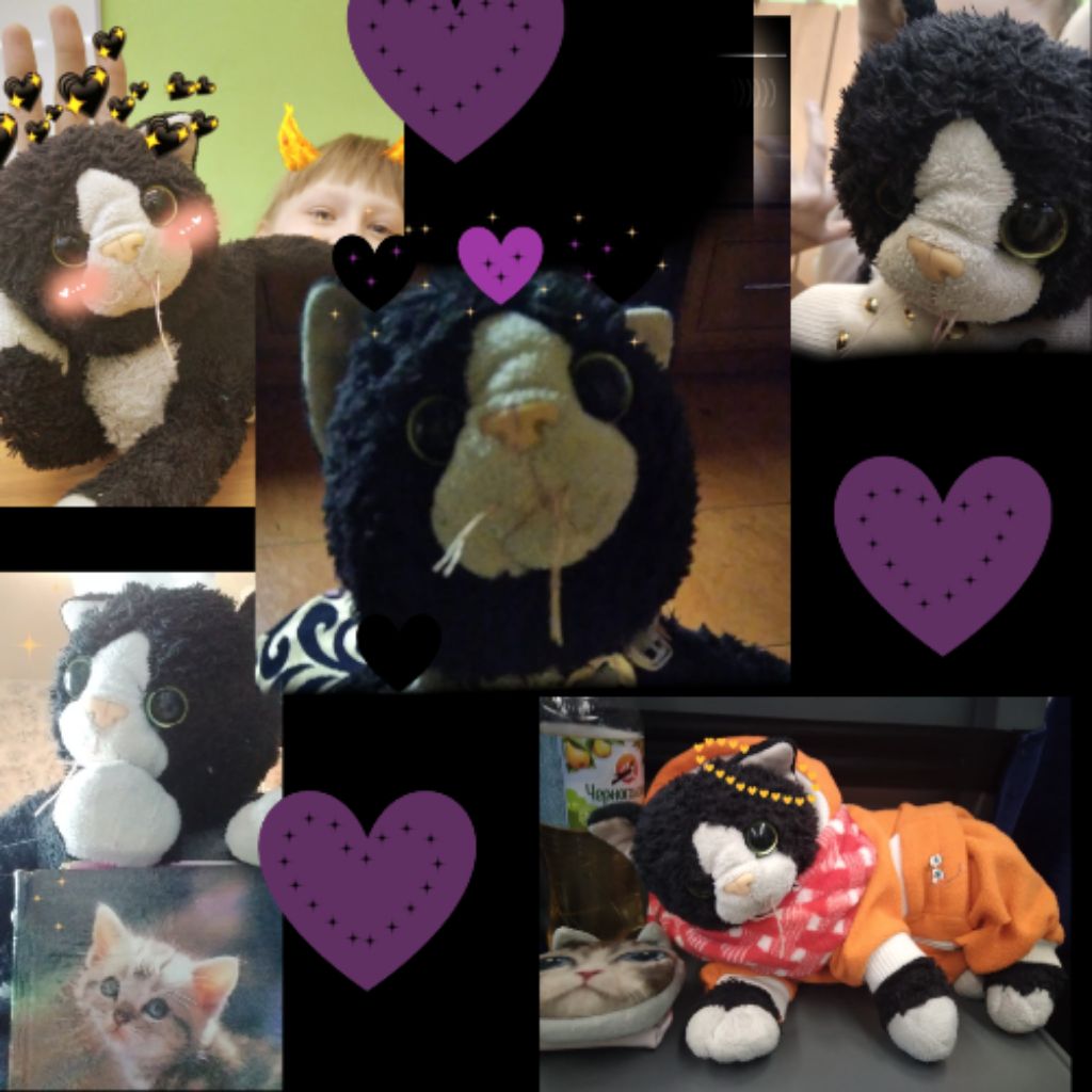 Иконка канала Котяшоу_official