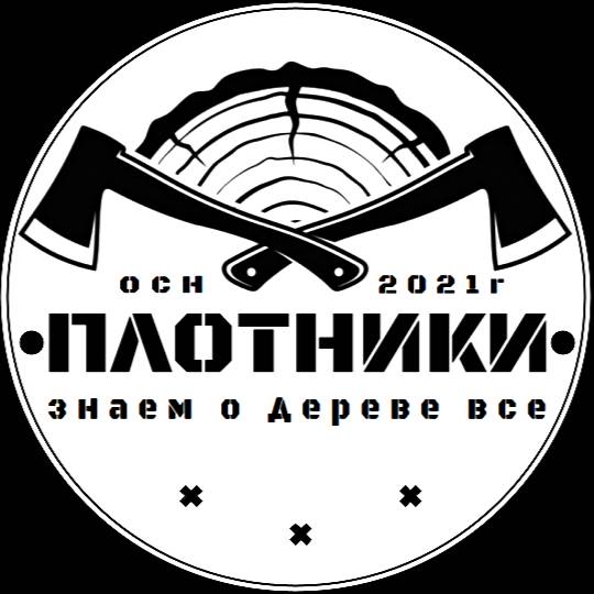 Иконка канала ShitovArtPlotnik