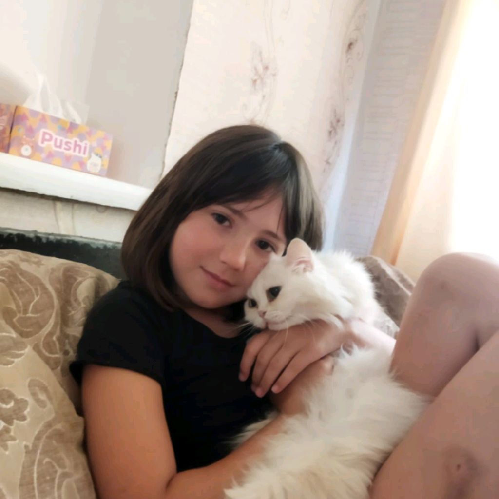 Иконка канала Мир животных Виолы😺🐶