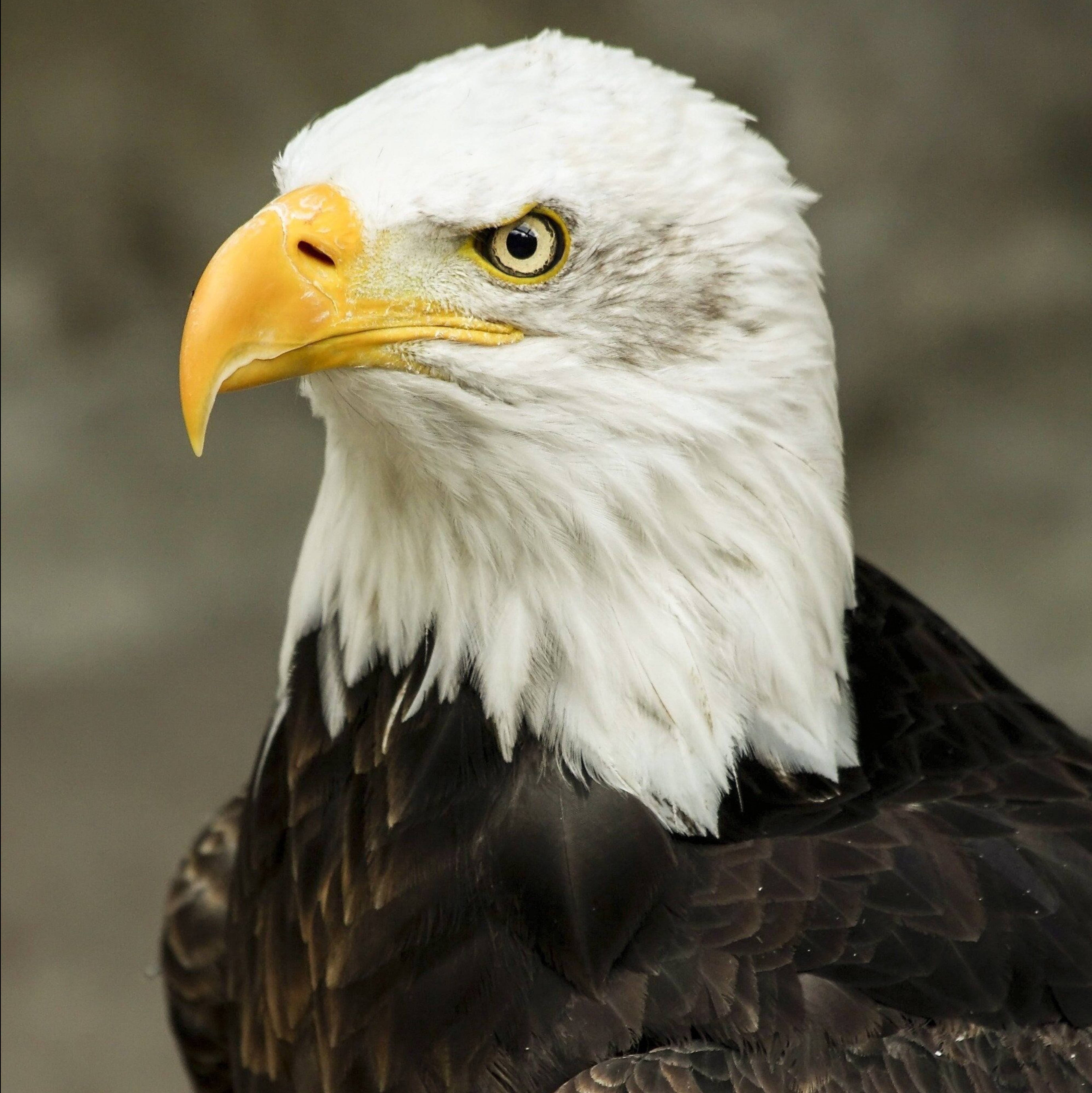 Иконка канала SharD YilsorK