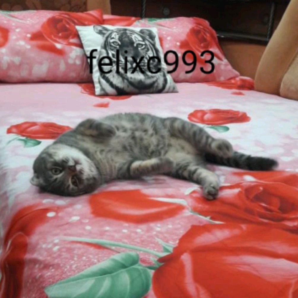 Иконка канала Тёмыч-Артёмыч