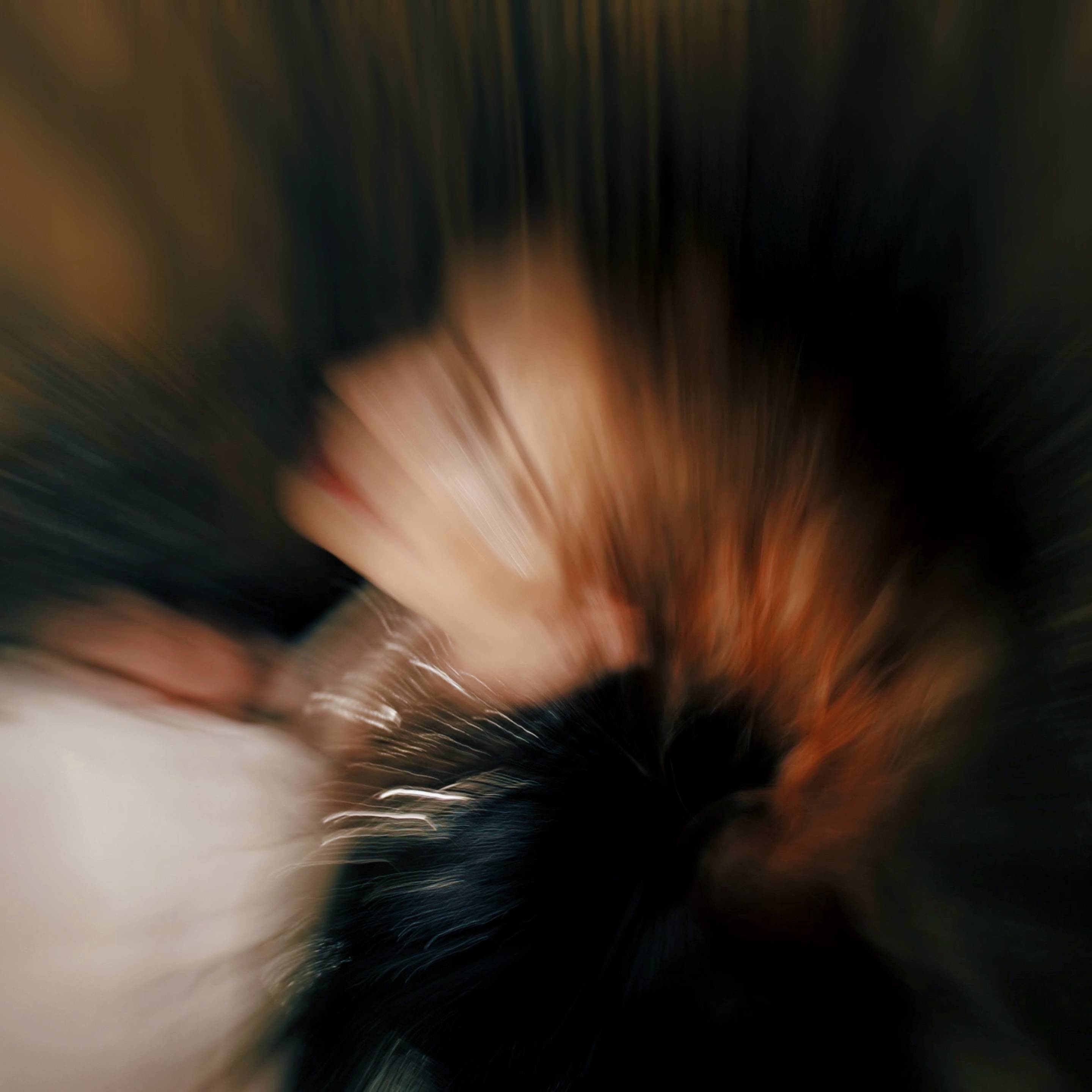 Иконка канала Анастасия Спиридонова