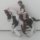 Иконка канала Ксюша 🐈⬛🐎🐕