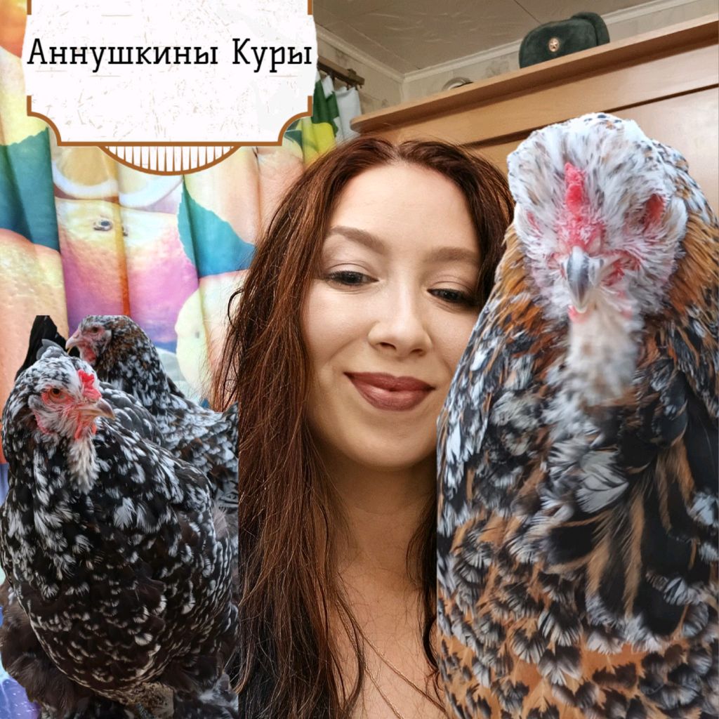 Иконка канала Аннушкины Куры