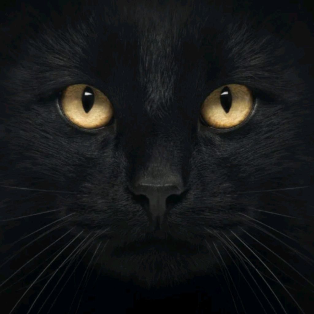 Иконка канала Regina999