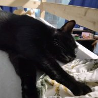 Иконка канала suhsyk961