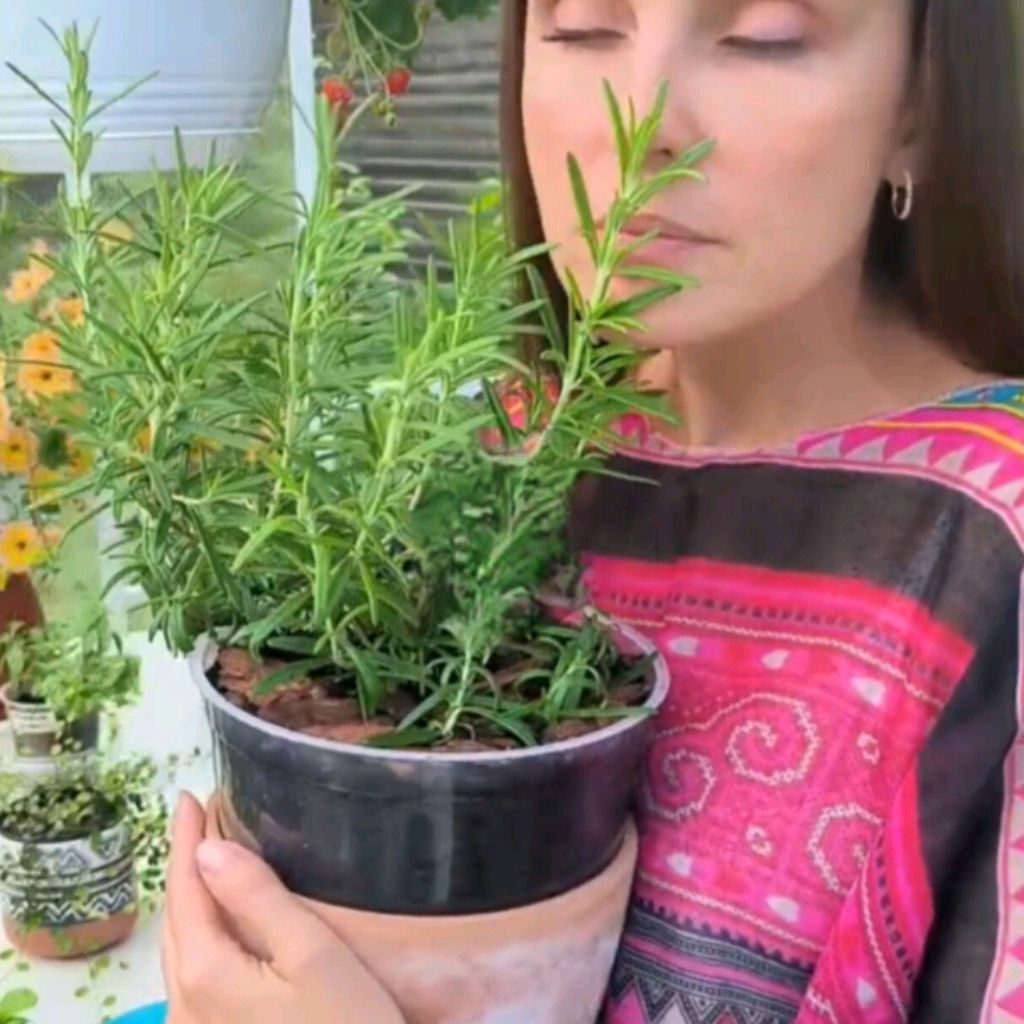 Иконка канала Ирина.Магия жизни.Relax🌿☘️🌴🌳🌲🌱🌿