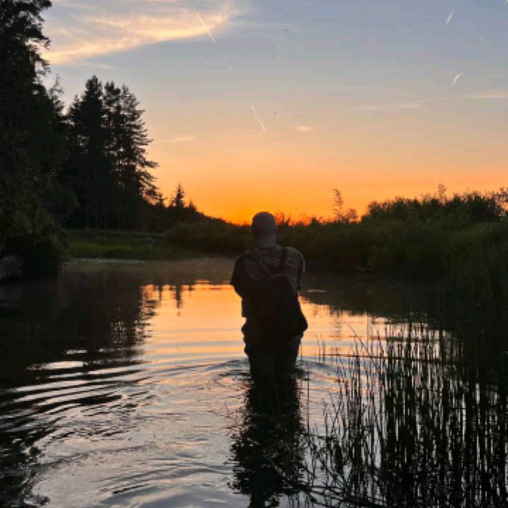 Иконка канала channel31810521