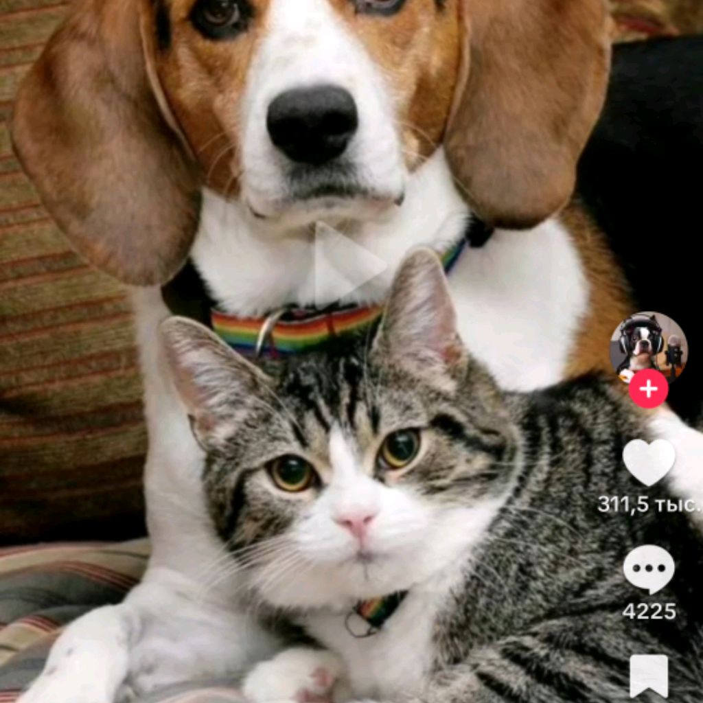 Иконка канала channel67439783