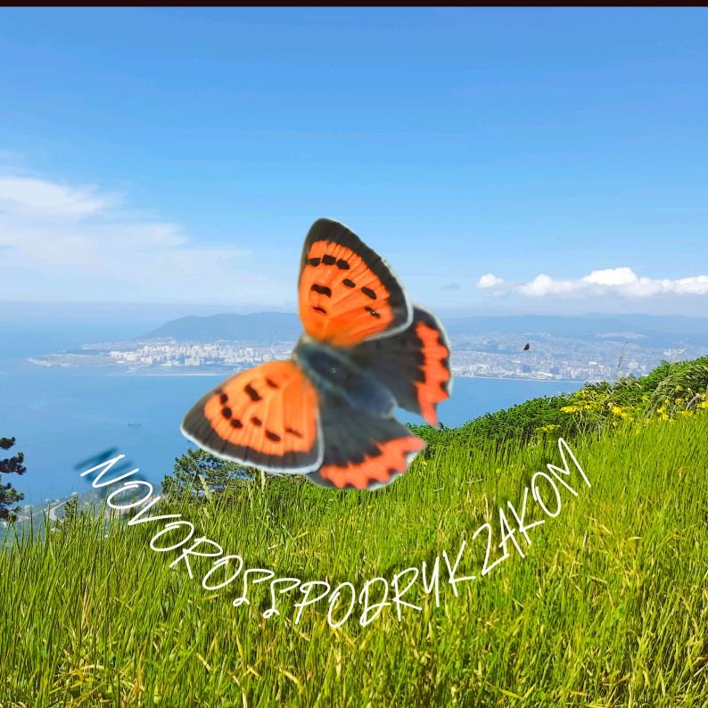 Иконка канала НовороссПодРюкзаком