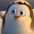 Иконка канала Пингвин2014
