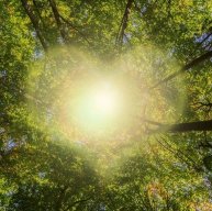 Иконка канала Елена/Елена Солнечный свет