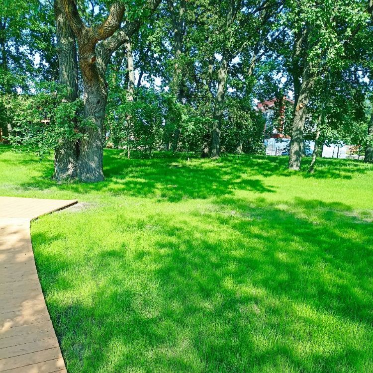 Иконка канала Дачные преображение  Самара