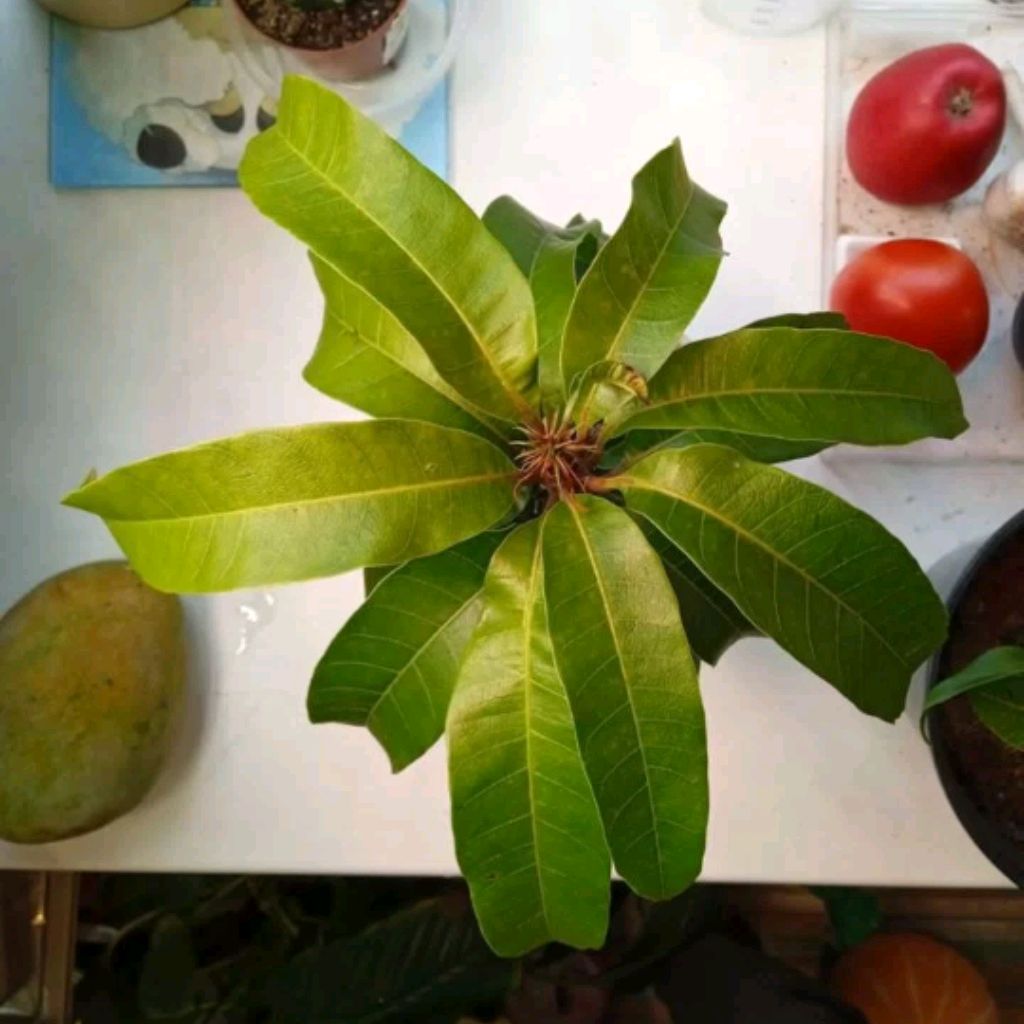 Иконка канала Агроном-альпинист