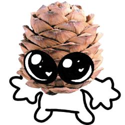 Иконка канала Шышка