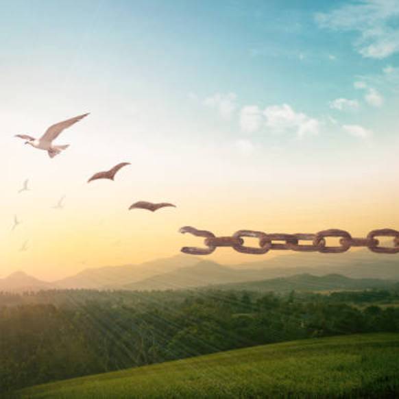 Иконка канала Ayushma Yoga