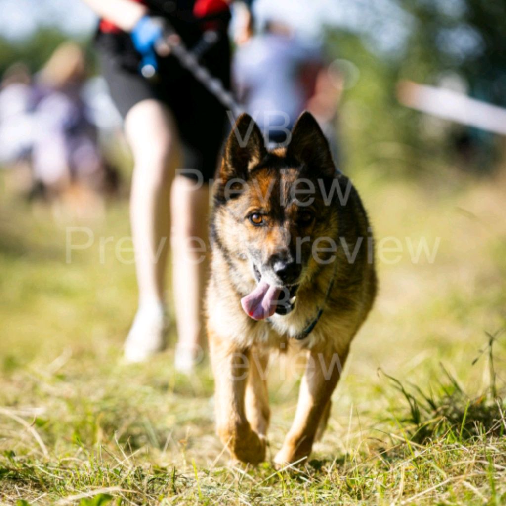 Иконка канала channel45448006