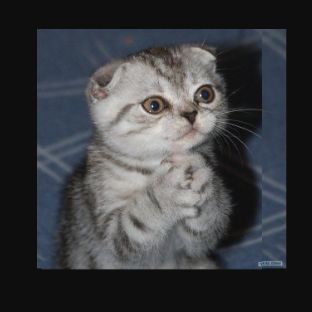 Иконка канала всё ЯСНО и ПОНЯТНО