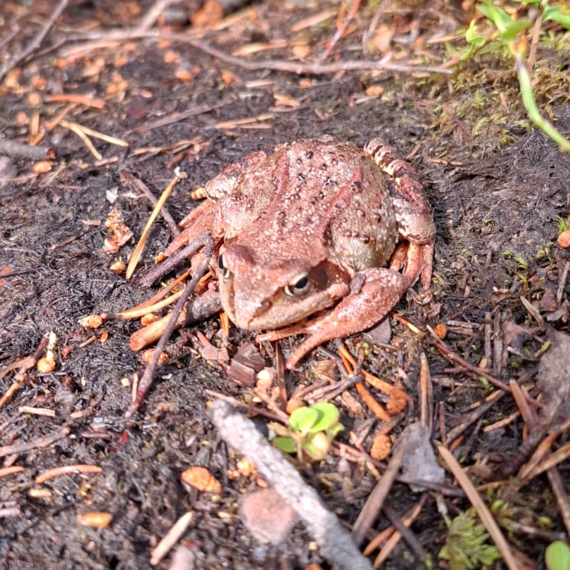 Иконка канала САШКА ПРО