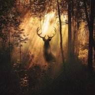 Иконка канала MarAl