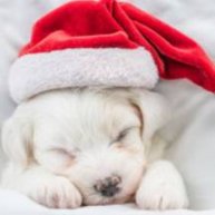 Иконка канала Веселая семейка из Сибири