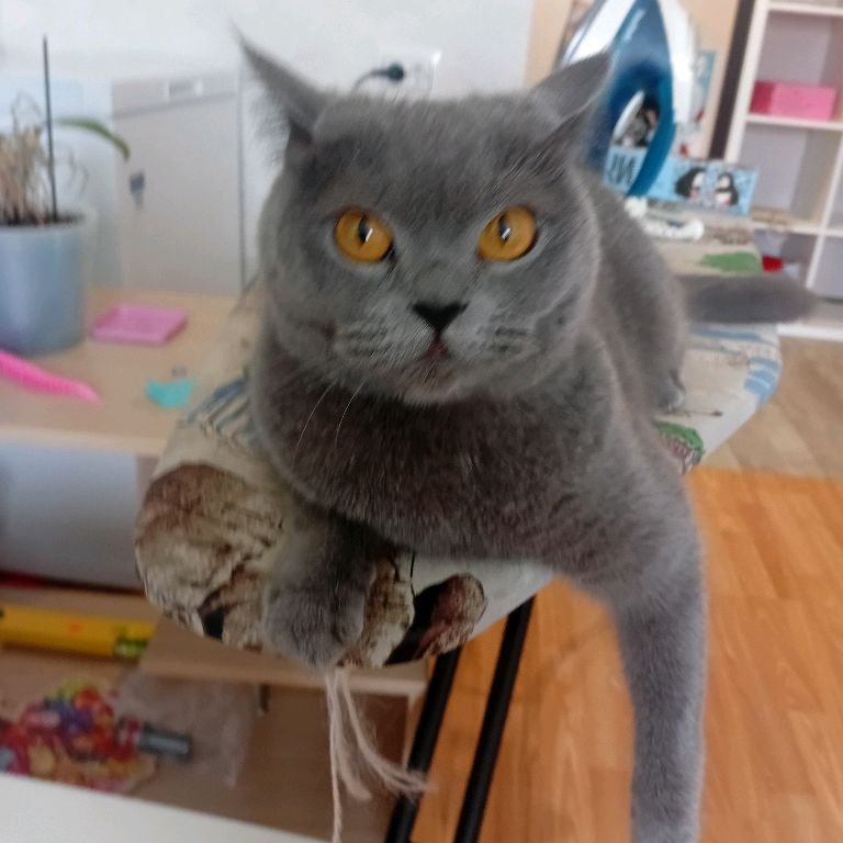 Аватар