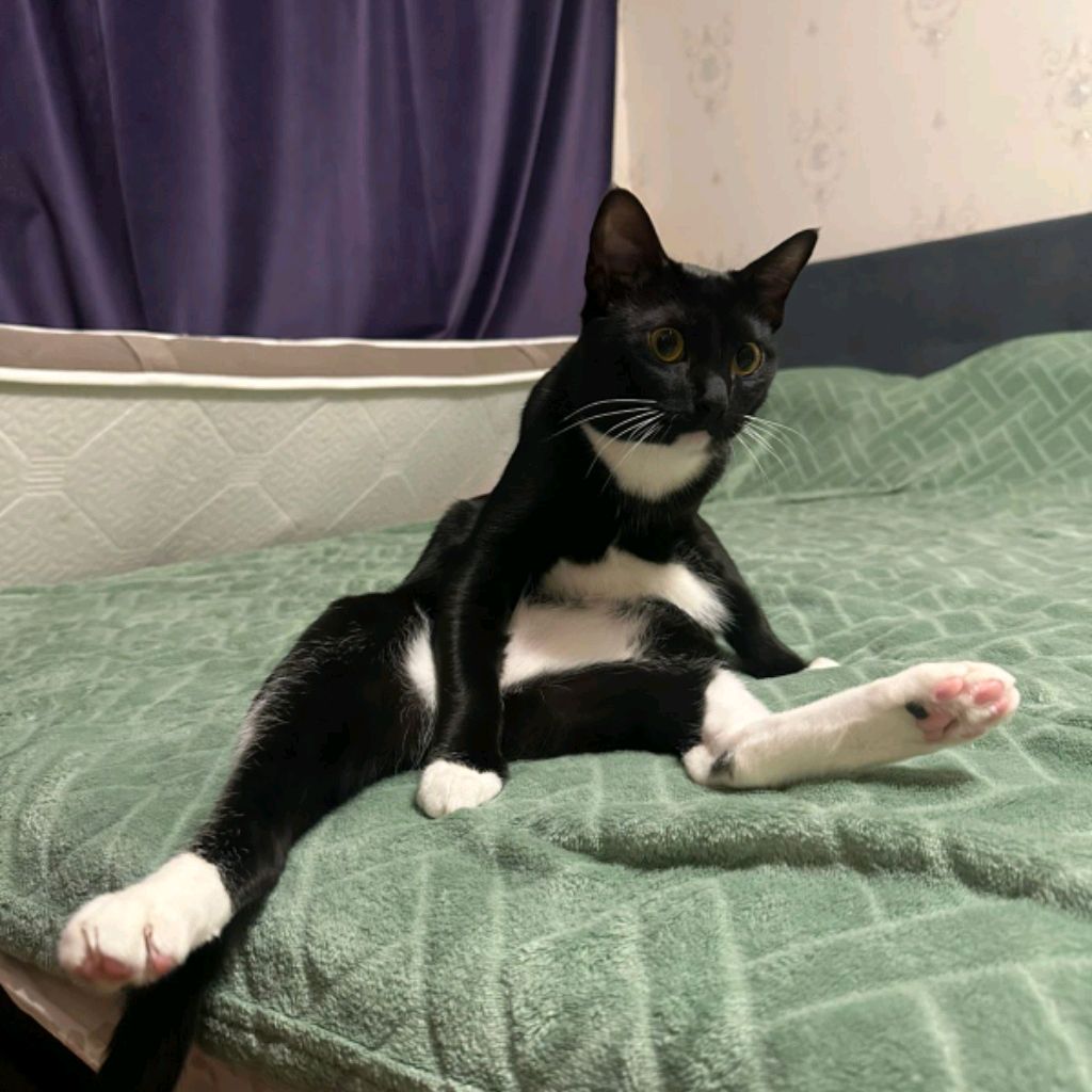 Иконка канала Makar537