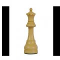 Иконка канала Maestro_Chess