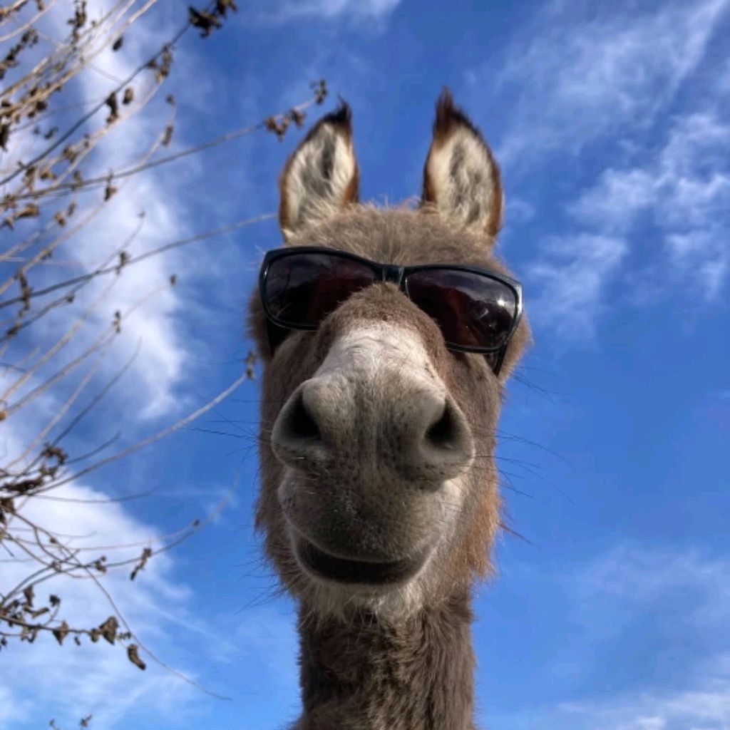 Иконка канала ВИНИЛЬЧИК