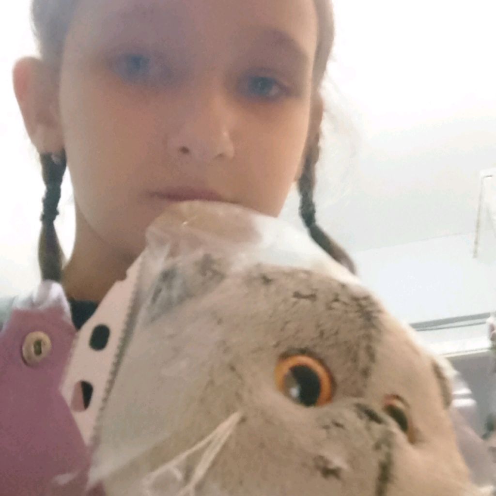 Иконка канала 🦆👾Дом💥Уток👾🦆