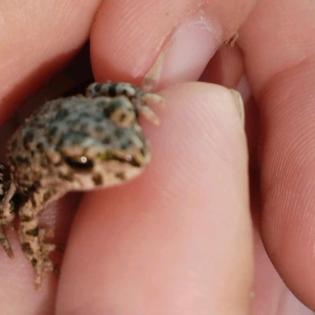 Иконка канала Анимации и Другое