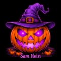 Иконка канала Сэм Хейн