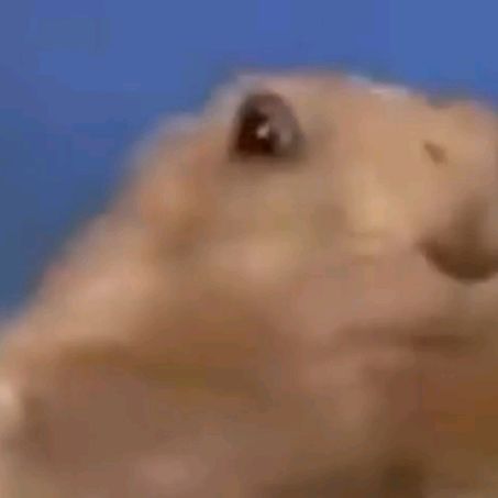 Иконка канала Сус